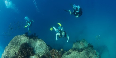 Advanced Diver Course