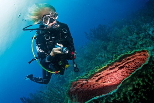 PADI Advanced Open Diver