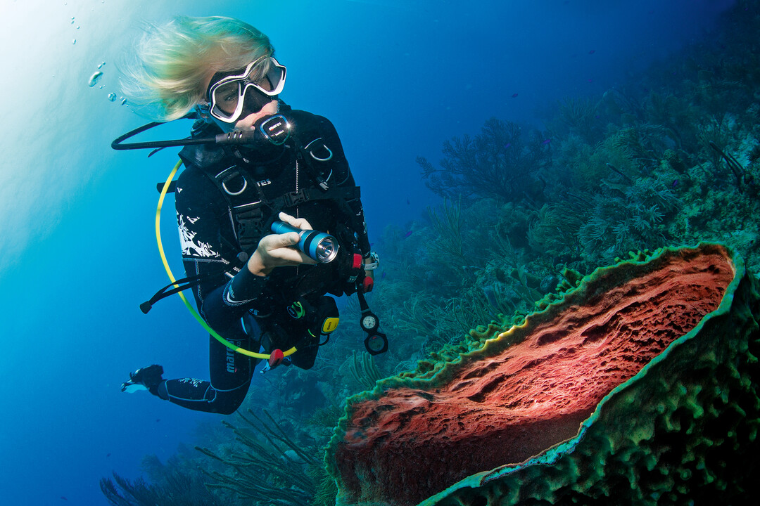 PADI Advanced Open Diver