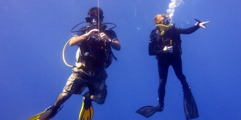 PADI Advanced Open Diver