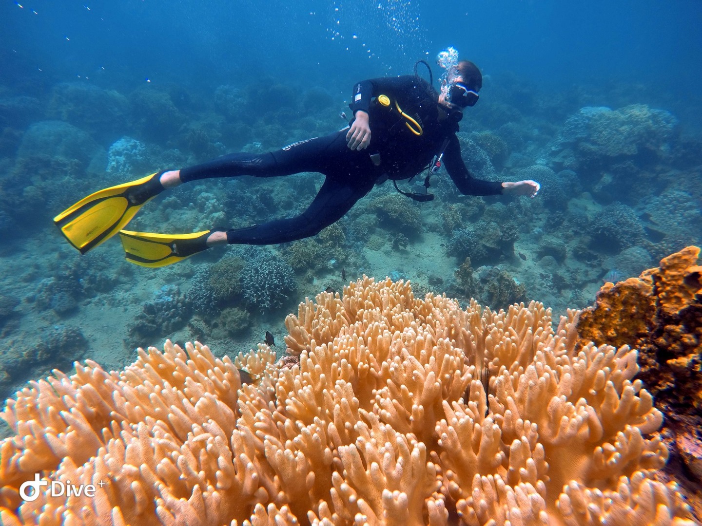 Fun Diving Hon Mun