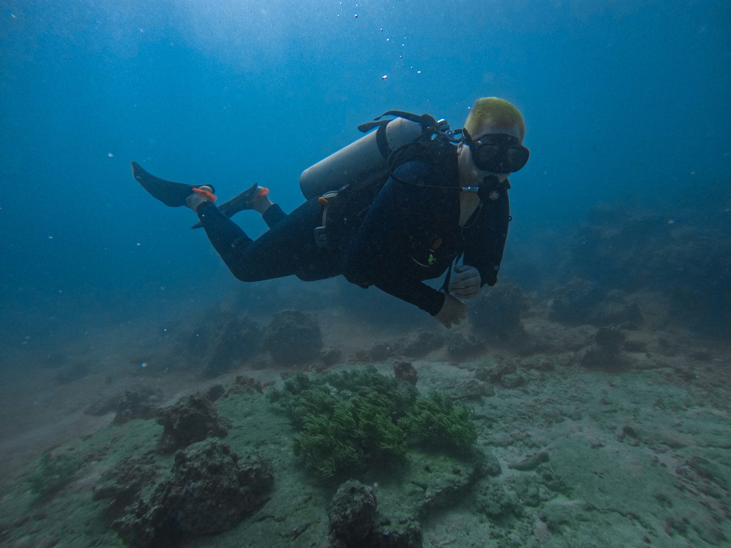 Fun Diving Hon Mun