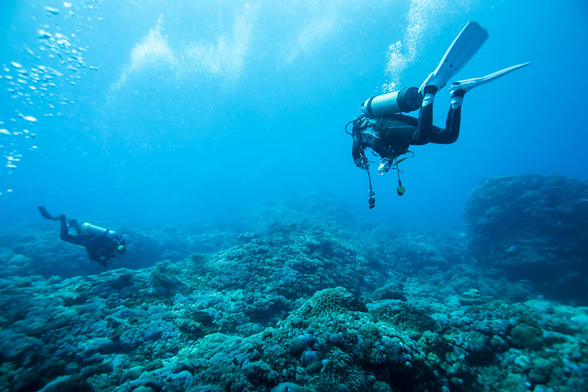 PADI Open Water Diver