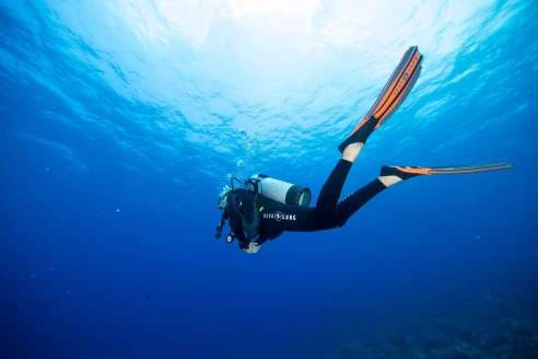 Open Water Diver Course