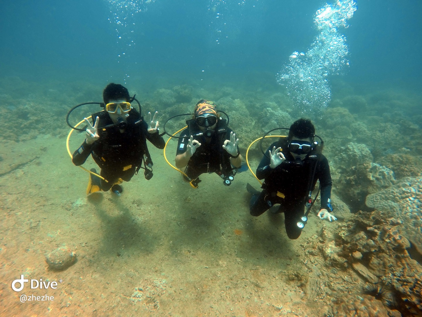Discover Scuba Diving