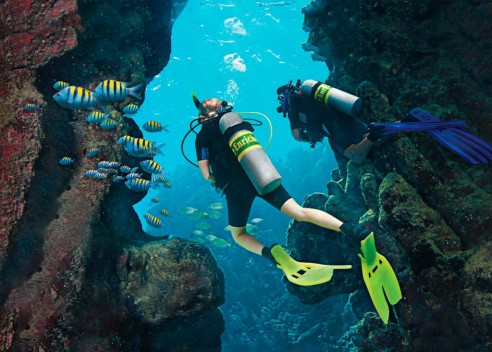 Enriched Air Nitrox Diver