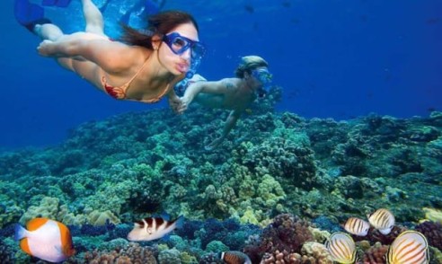 Explore Nha Trang Bay Snorkeling Trip