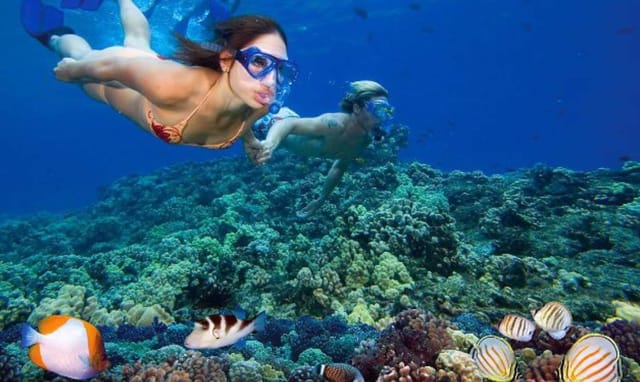 Explore Nha Trang Bay Snorkeling Trip