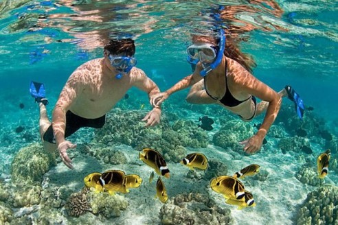 Explore Nha Trang Bay Snorkeling trip