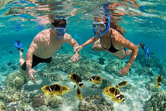 Explore Nha Trang Bay Snorkeling Trip