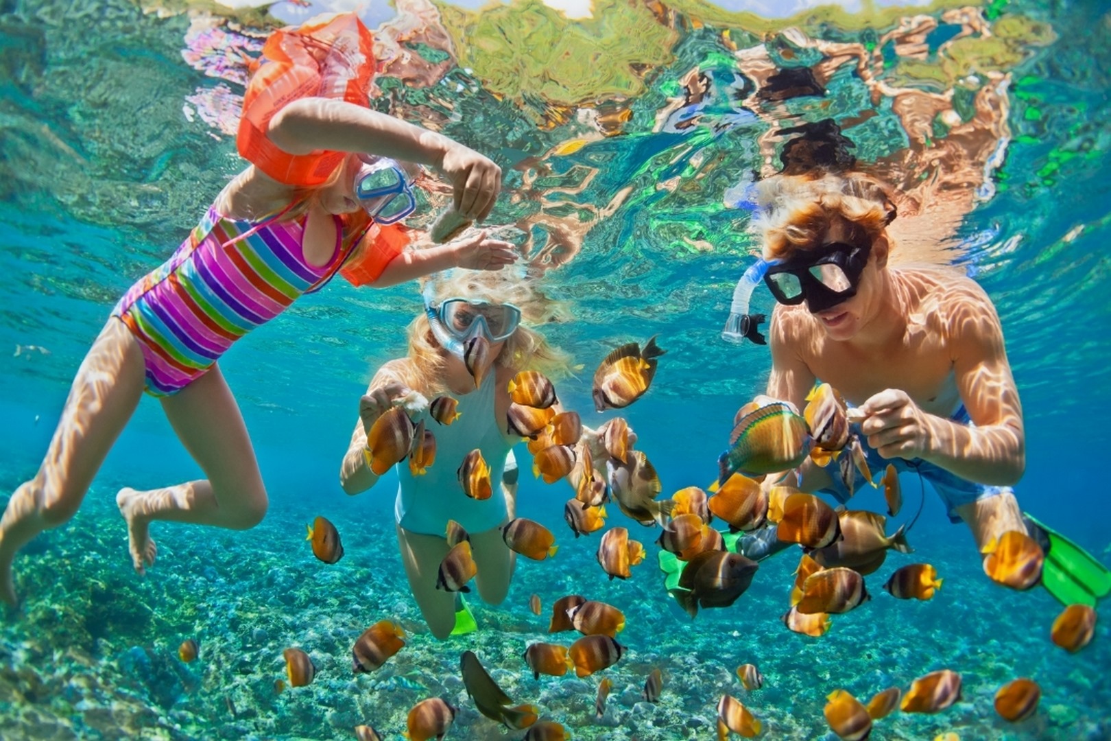 Explore Nha Trang Bay Snorkeling trip