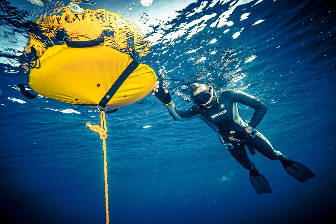 Freediving Courses