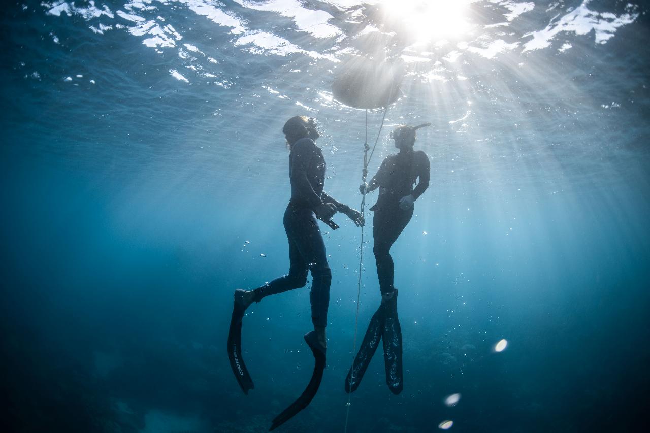 Freediving Level 1