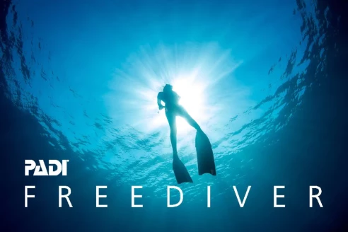 Freediving Level 2