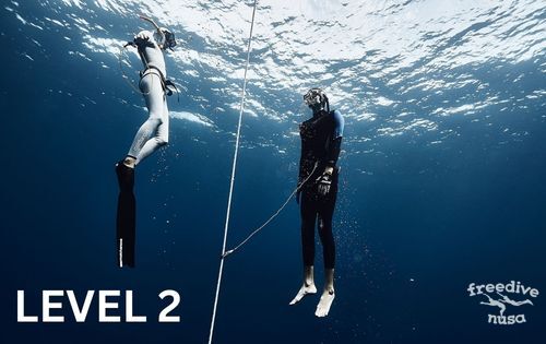 Freediving Level 2