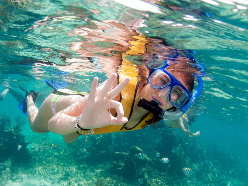 Snorkel Diver