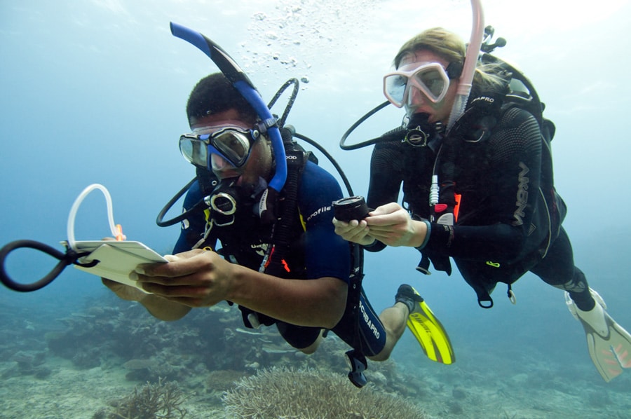 Underwater Navigation Diver