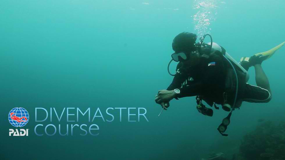 PADI Divemaster Course